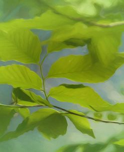 Digital Art Elm Leafs In Morning Light