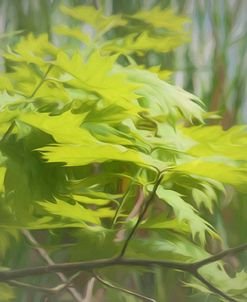 Digital Art Oak Leafs Along Pond Of Reeds