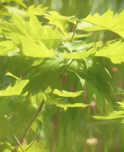 Digital Art Oak Leafs In Morning Light