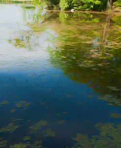 Digital Art  Noonday Light And Moss On Swamp