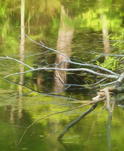 Digital Art Dead Tree Lying In Water With Reflections