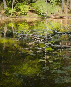Digital Art Dead Tree Lying In Water