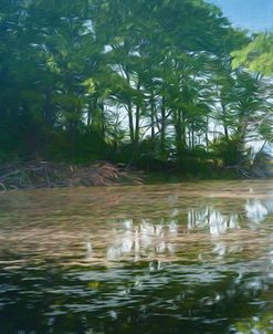 Digital Art  Early Moring Light On Swamp