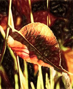 Heart Shaped Leaf Liquid Pencil Drawing