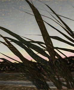 Liquid Pencil Drawing Giant Reeds After Sunset