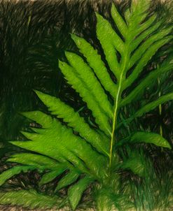 Liquid Pencil Drawing Green Ferns