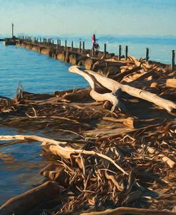 Driftwood Washed On Shore