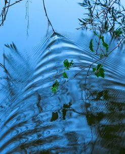 Ripples