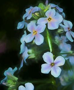 Digital art wild cyan and purple flowers