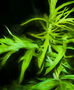Digital art wild green plant leafs