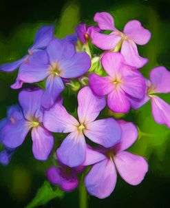 Digital art wild purple flowers close up
