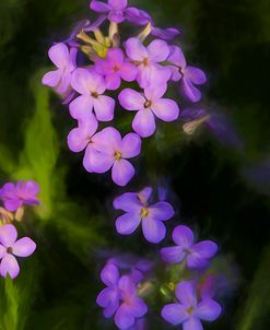 Digital art wild purple flowers