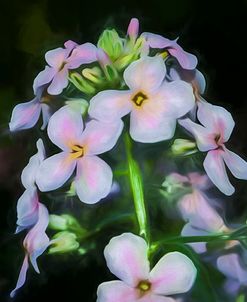 Digital art wild white and pink flowers