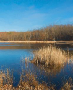 Reeds And Bullrush In Pond