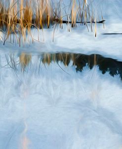 Reflections In Frozen Pond