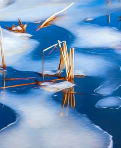 Ice Shapes On Pond