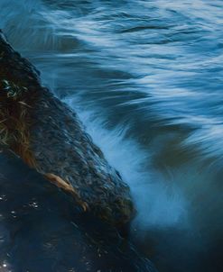 Rolling Waves With Boulders