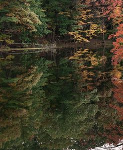 Autumn Foliage With Water Like Glass