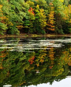 Colors Of Autumn Reflected In Water