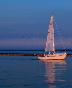 Sailboat And Seagulls At Dusk