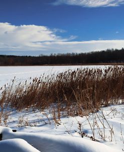 Scenic Winter Landscape With Cloudscape