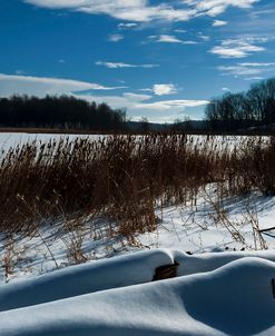 Scenic Winter Landscape