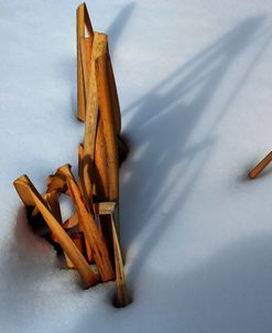 Shapes In Snow At Sunset