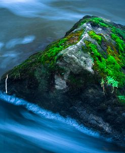 Large Moss Covered Rock Slow Swirling Water