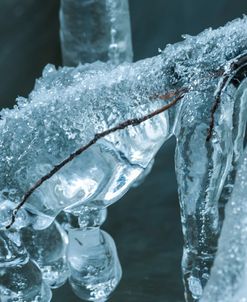 Branch Encapsulated In Ice Over Creek