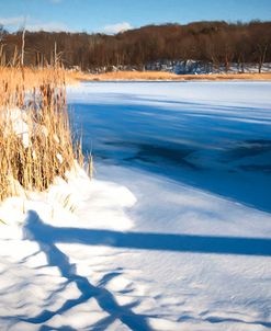 Cattails And Post  In Snow Along Pond