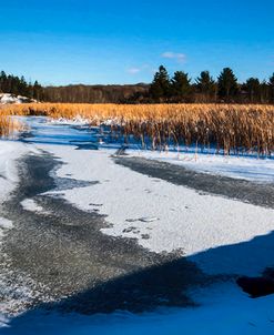 Scenic Winter Day Creek Side