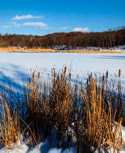 Scenic Winter Landscape