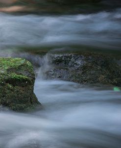 Evening Light Over Brook