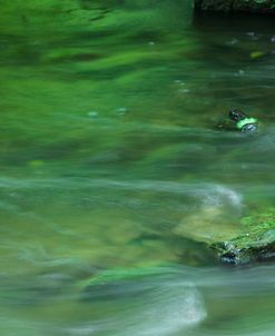 Reflections Of Green Light On Water At Dawn