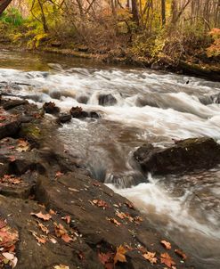 Autumn Brook