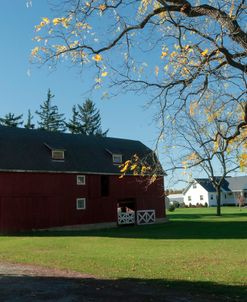 Red Barn In Country