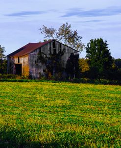 Weathered Barn In Field