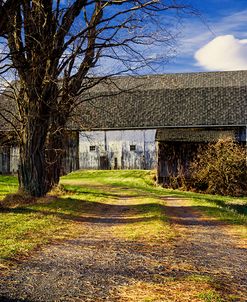 Abandon Barn And Lane