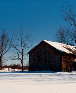 Abandon Farm In Winter