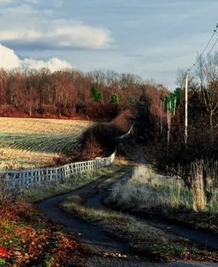 Lane Along Wooden Fence In Autumn