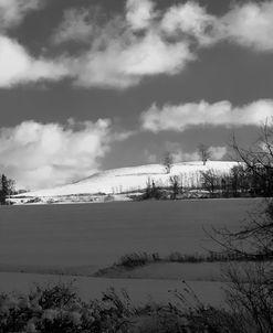 Scenic Winter Landscape