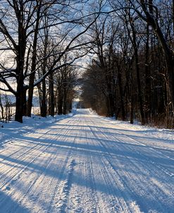 Snow Covered Country Road