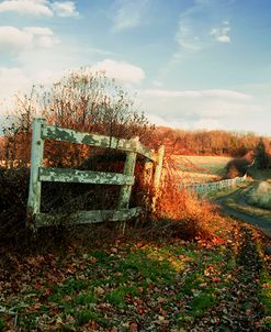 Take The Drive Down Autumn Lane