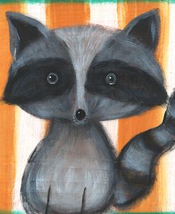 Racoon