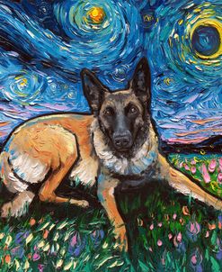 Belgian Malinois