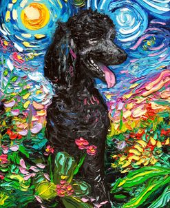 Black Poodle Night 2