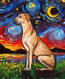 Fawn Great Dane Night