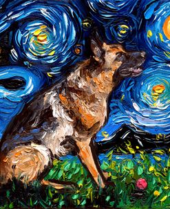 German Shepherd Night 3