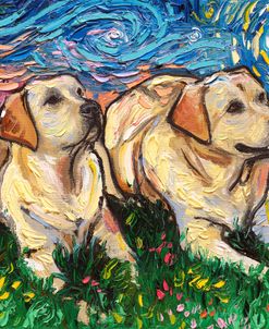 Yellow Labrador Night