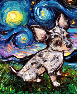 Teacup Merle Chihuahua Night